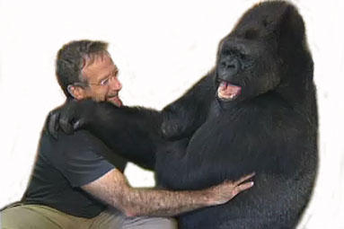 La Gorila Koko y Robin Williams