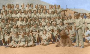 El oso que peleó en la Segunda Guerra Mundial